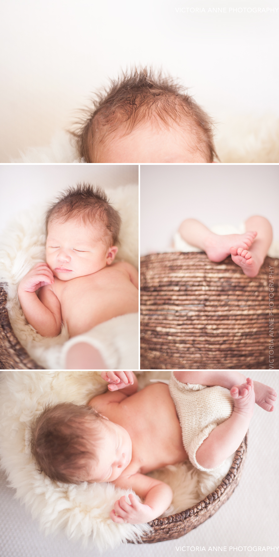 winnipeg_newborn_photography